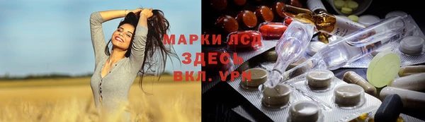 ешки Ельня