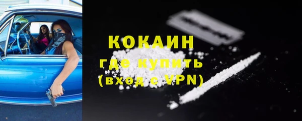 ешки Ельня