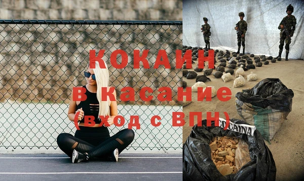 шишки Заволжье