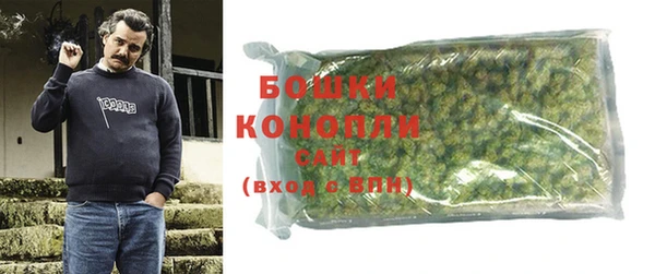 ешки Ельня