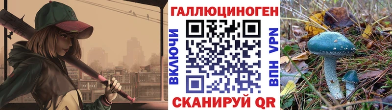 Купить  Тюмень  Галлюциногенные грибы мицелий 
